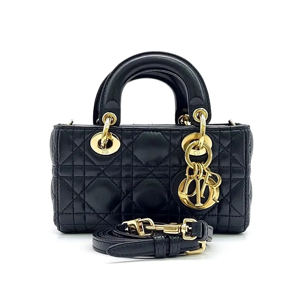 Dior Lady D-JOY Micro Bag