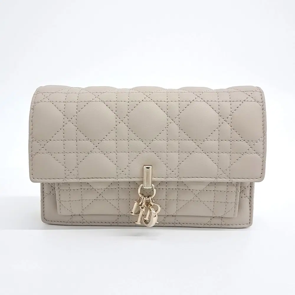 Dior Chain Shoulder Bag