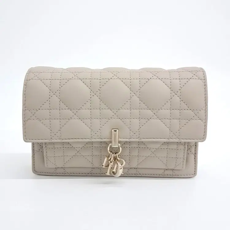Dior Chain Shoulder Bag-Hover-Image