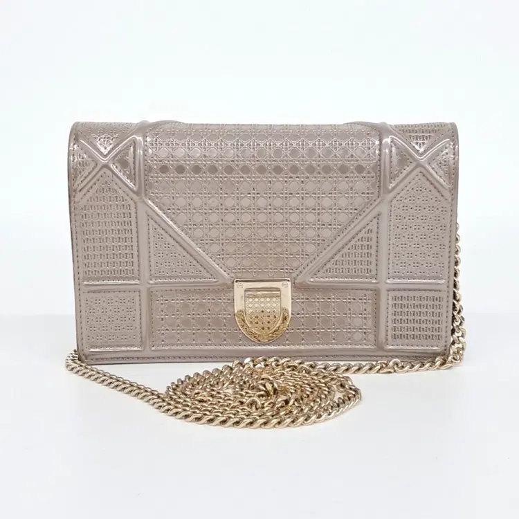 Dior Diorama Chain Crossbody Bag-Hover-Image