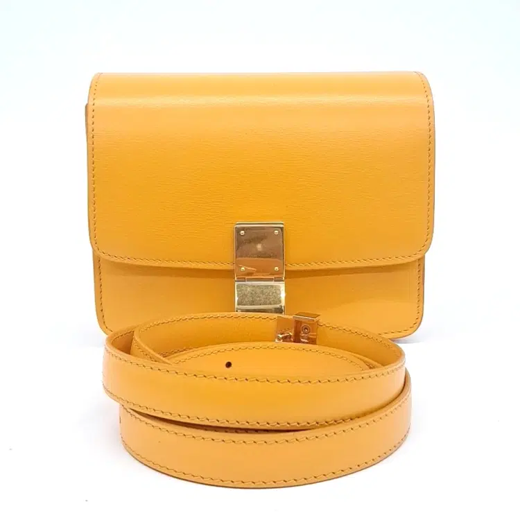 Celine Mini Classic Box-Hover-Image