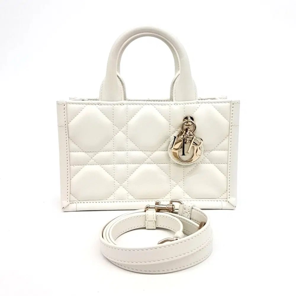 Dior Book Tote Mini Strap Bag S5573