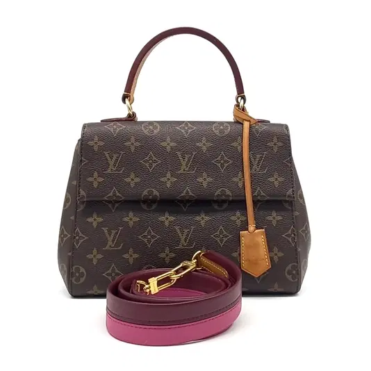 Louis Vuitton Monogram Cluny BB