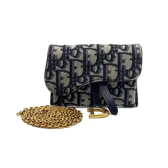 Dior Saddle Nano Pouch Chain Bag