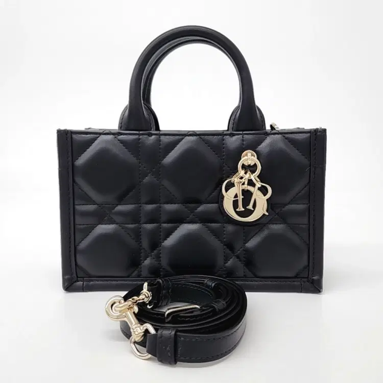Dior Black Leather Book Tote Mini Strap Bag-Hover-Image