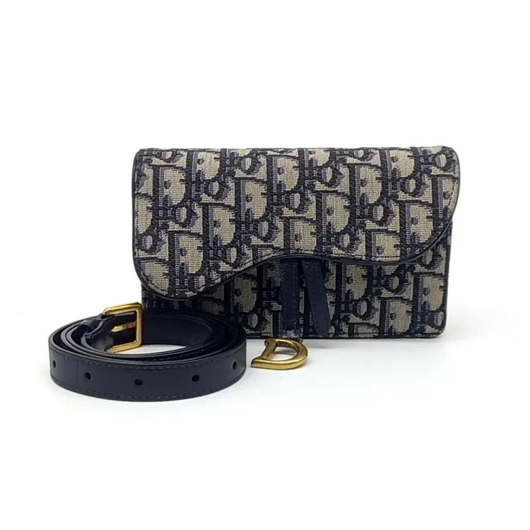 Dior Oblique Saddle Belt Bag S5619CTZQ-Hover-Image