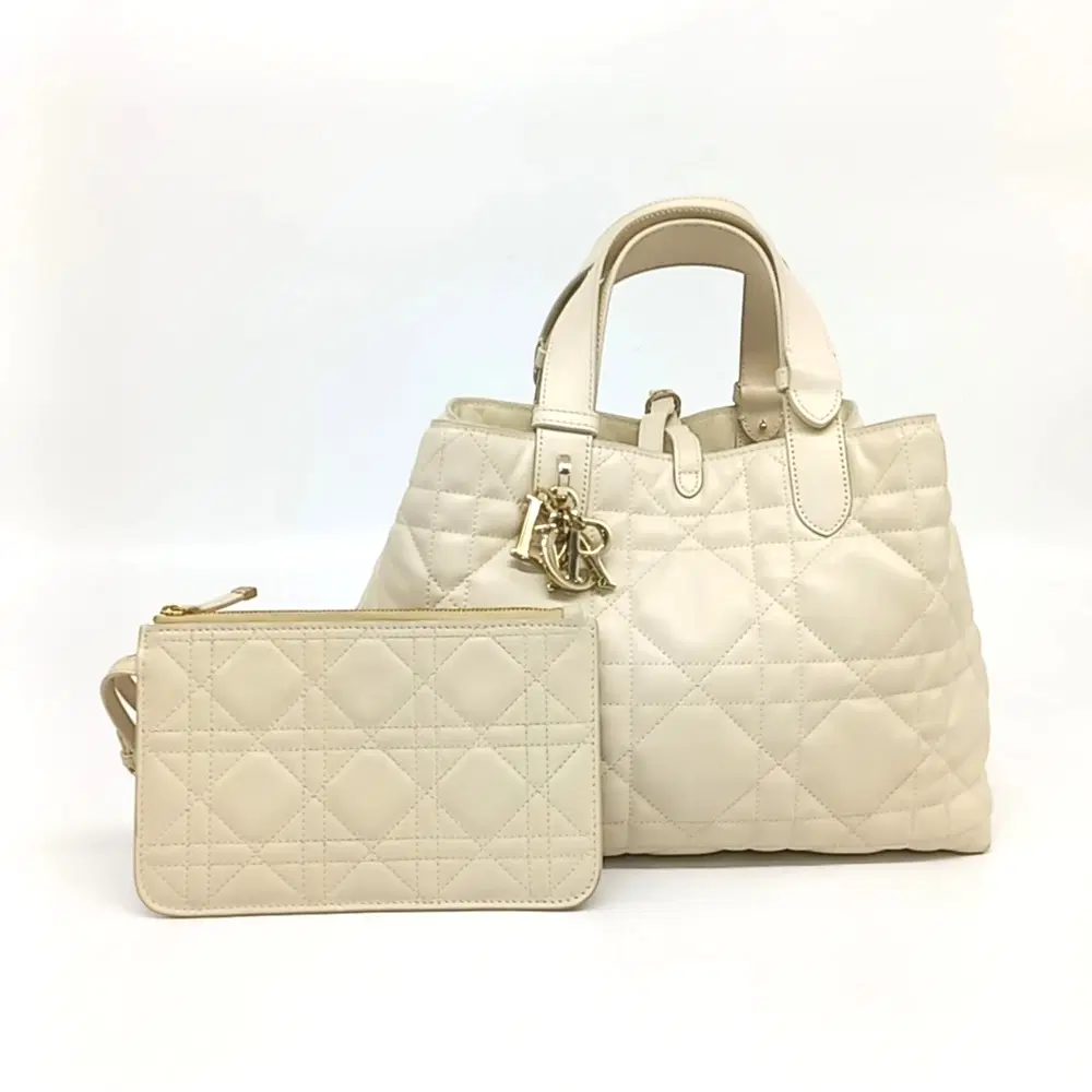 Christian Dior Toujours Medium M2821OSHJ