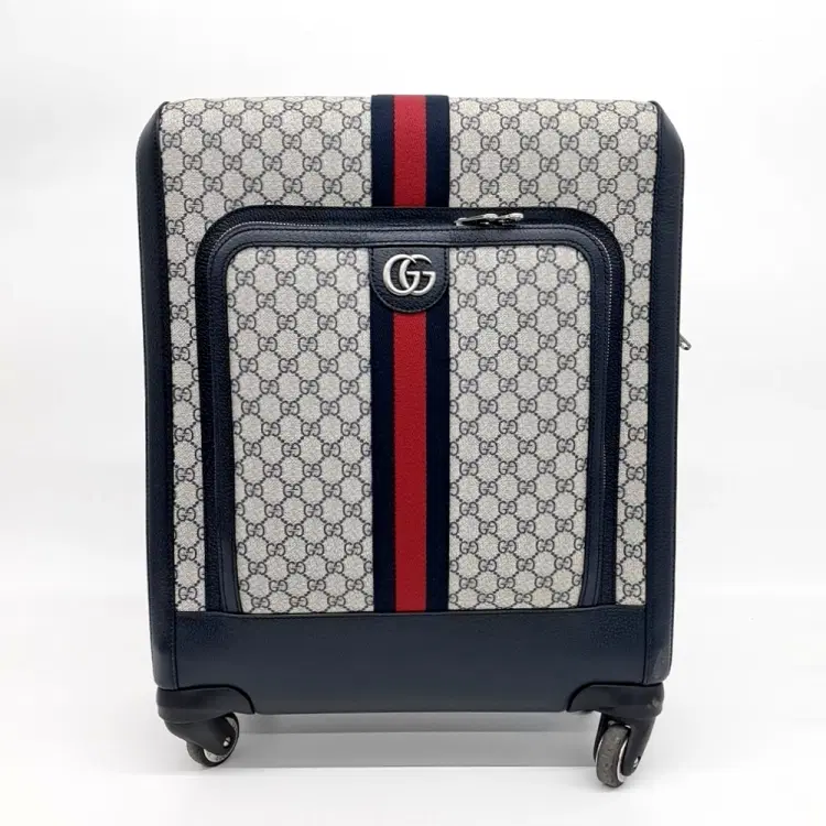 Gucci Savoy Carrier (728347)-Hover-Image