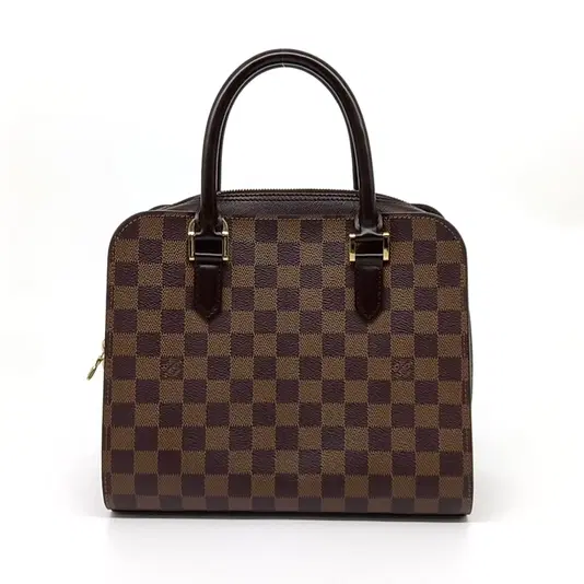 Louis Vuitton Damier Trevi PM-Hover-Image