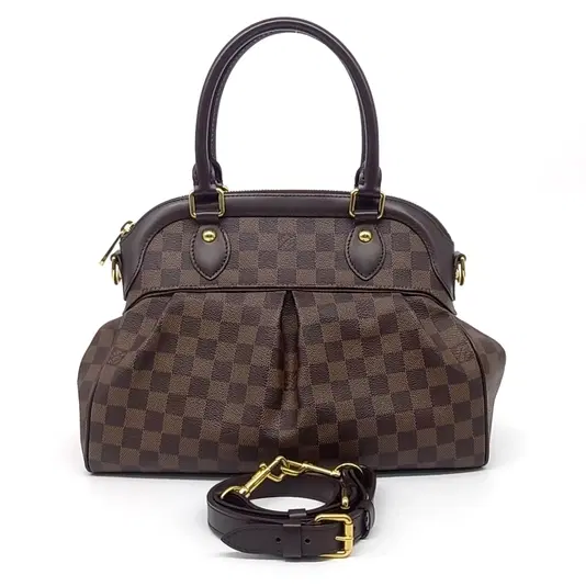 Louis Vuitton Damier Trevi PM-Hover-Image