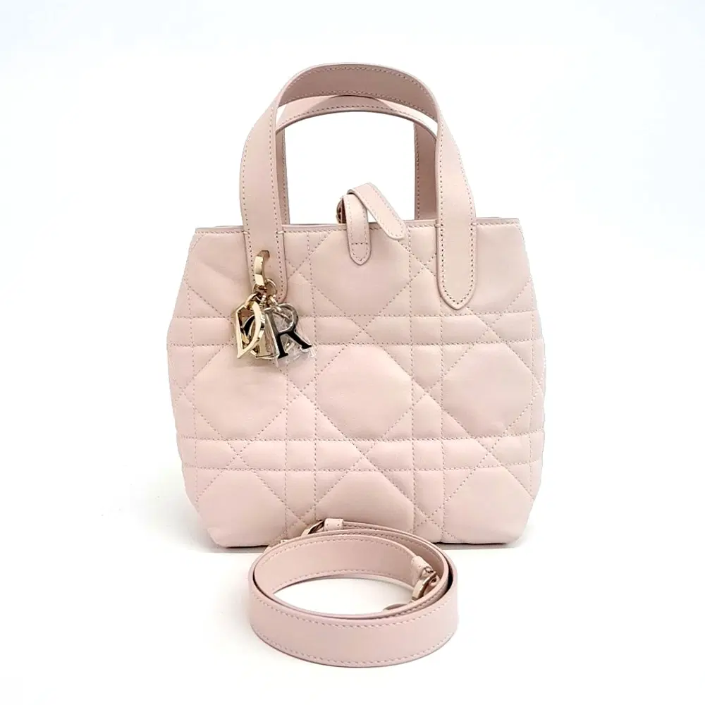 Christian Dior Toujours Vertical Small