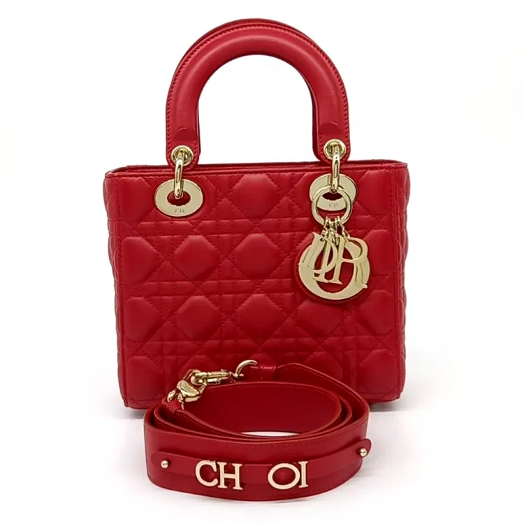 Christian Dior Lady Bag Small M0538OCAL-Hover-Image