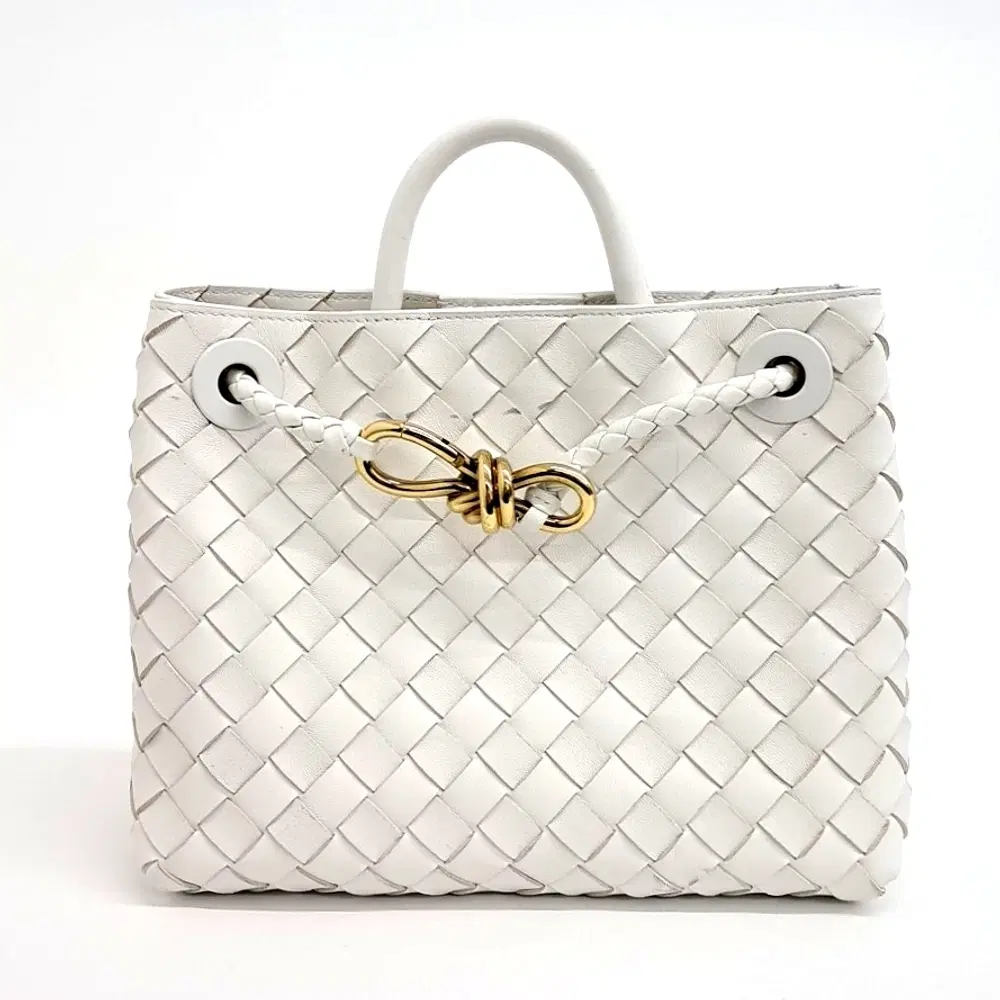 Bottega Veneta Andiamo Small