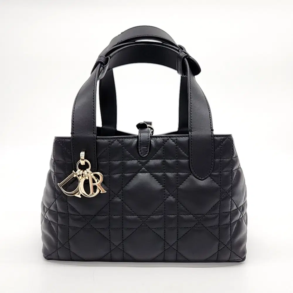 Christian Dior Toujours Small M2822OSHJ
