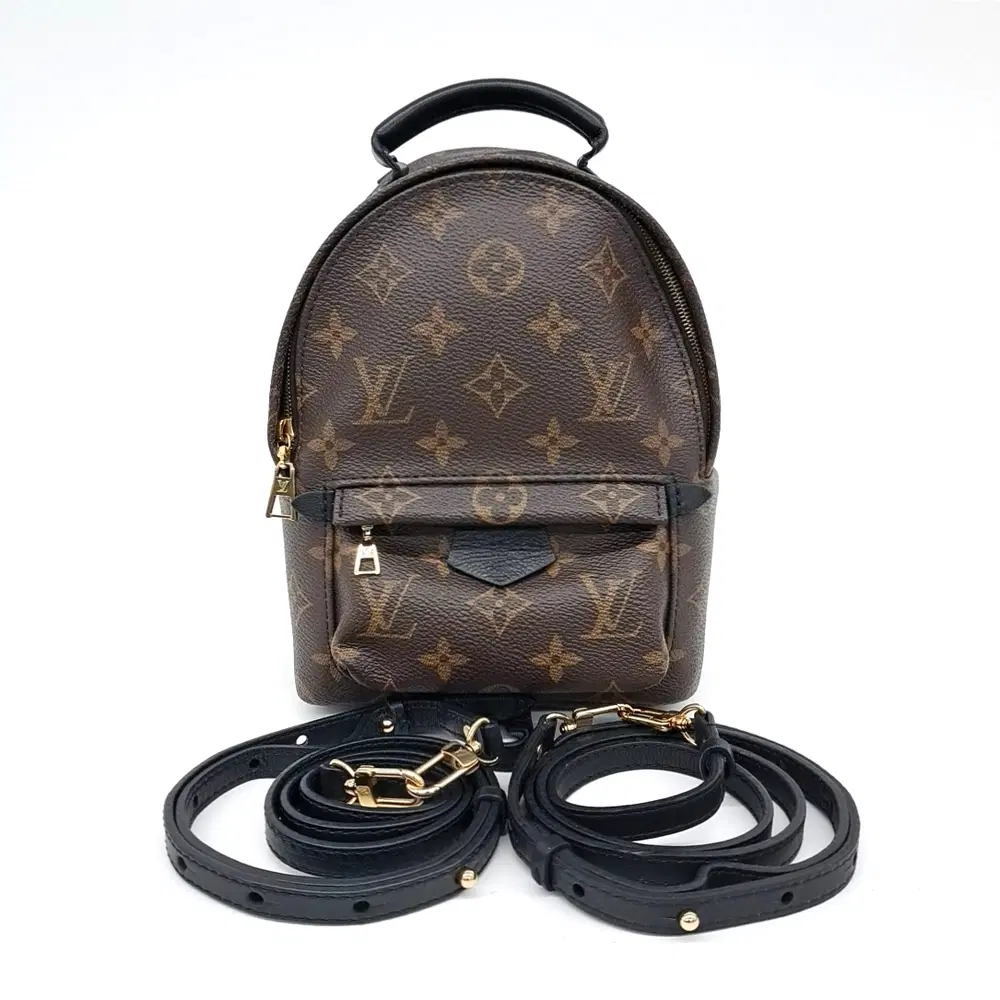 Louis Vuitton Palm Springs Backpack Mini M41562
