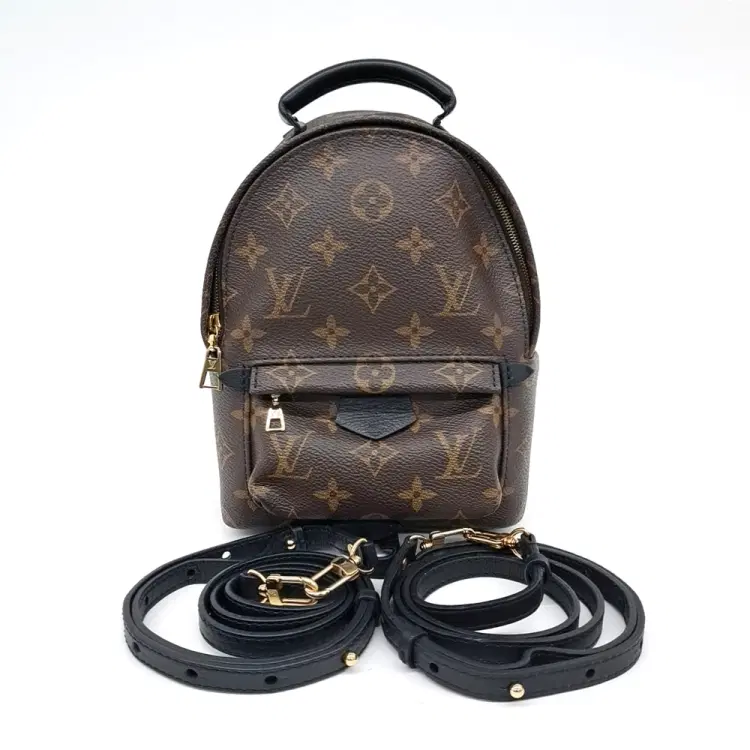 Louis Vuitton Palm Springs Backpack Mini M41562-Hover-Image