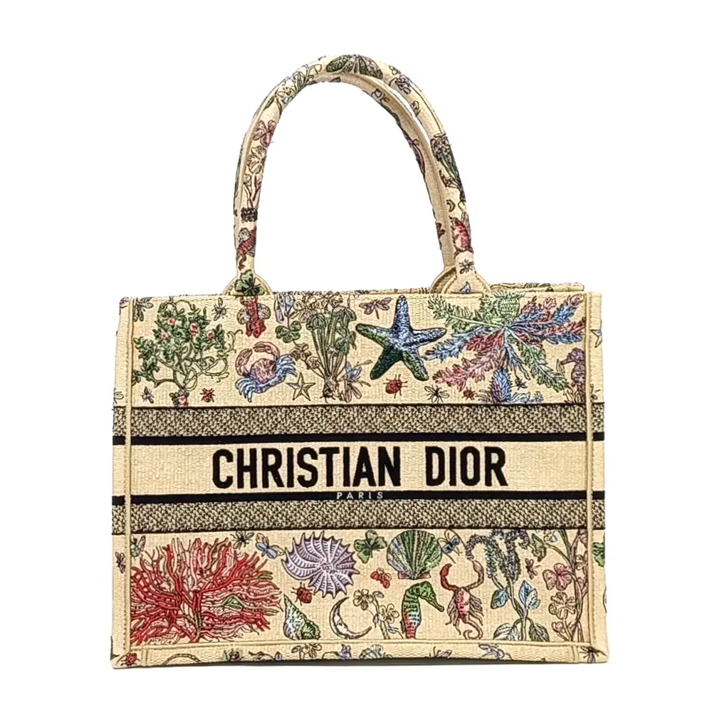 Christian Dior Book Tote Bag 36 MI296ZEEA