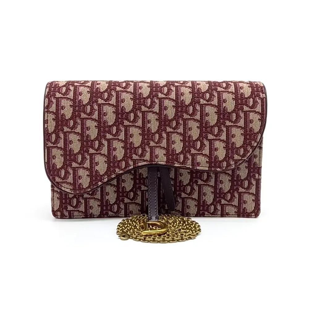 Christian Dior Oblique Saddle Chain Crossbody Bag