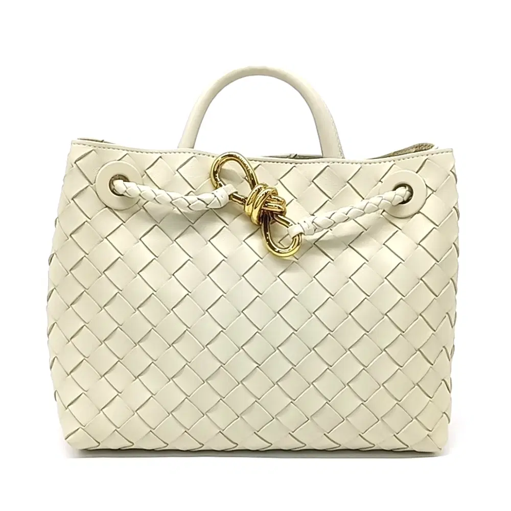 Bottega Veneta Andiamo Small