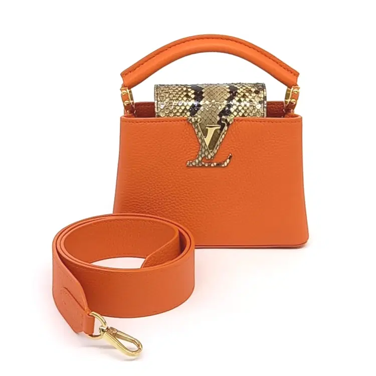 Louis Vuitton Capucines Mini-Hover-Image