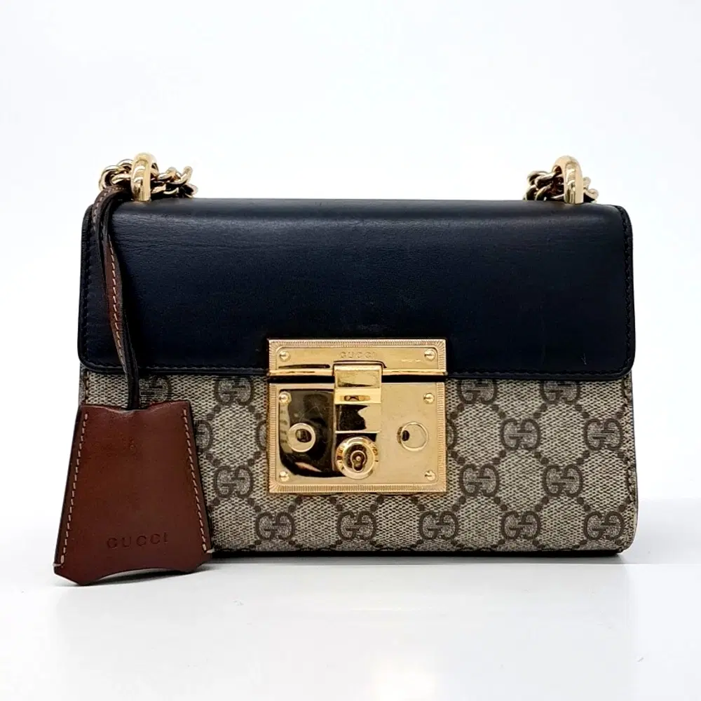 Gucci Supreme Shoulder Bag (409487)