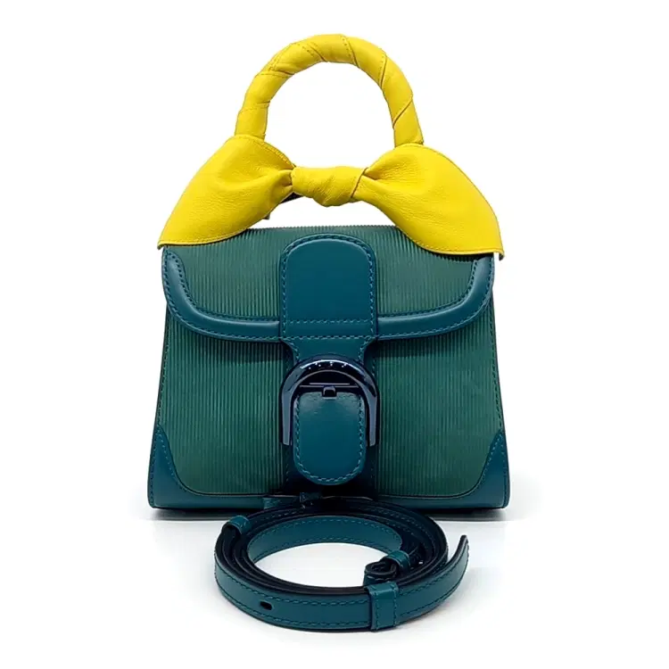 Delvaux Brillant Mini & Leather Twilly-Hover-Image