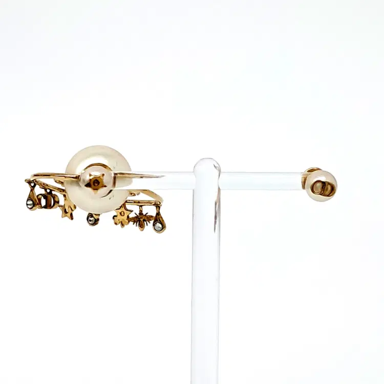 Christian Dior earrings-Hover-Image