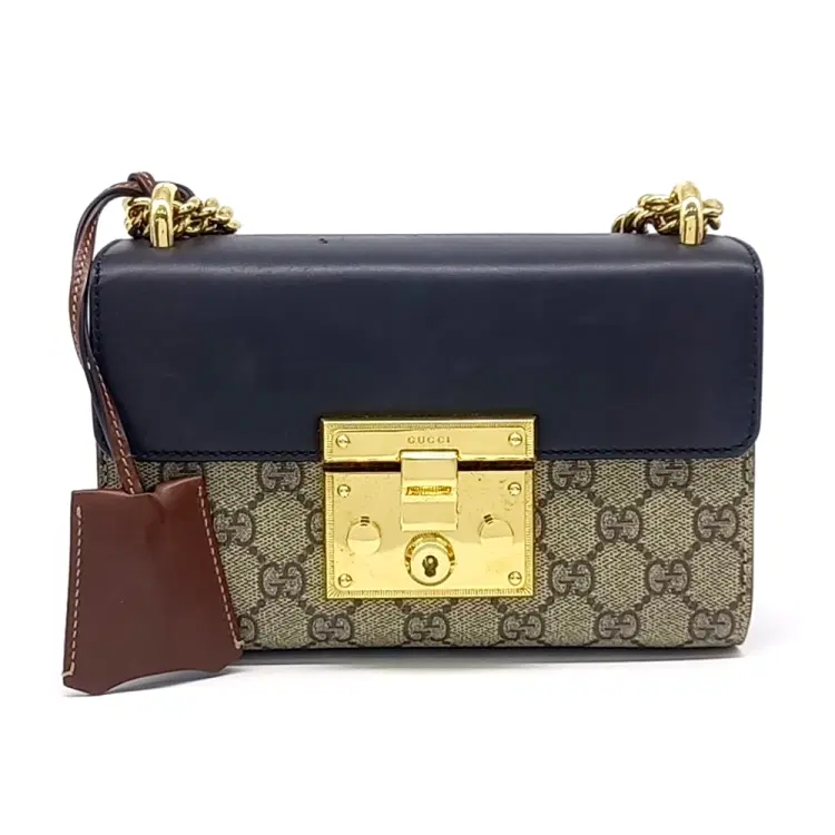 Gucci Supreme Shoulder Bag (409487)-Hover-Image