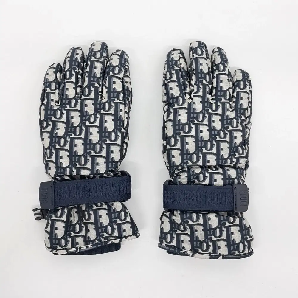 Christian Dior Oblique Ski Gloves