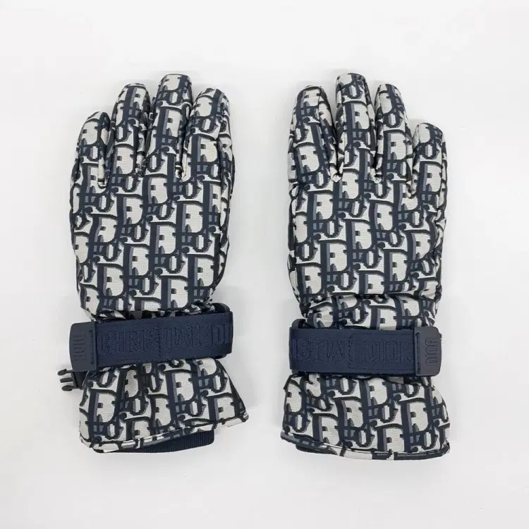 Christian Dior Oblique Ski Gloves-Hover-Image