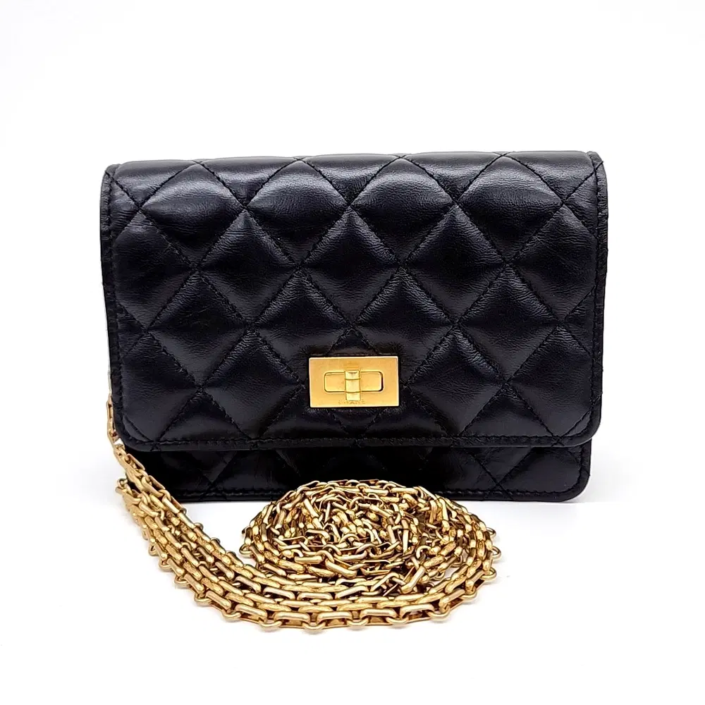 Chanel Vintage 2.55 WOC Mini Crossbody Bag AP1764