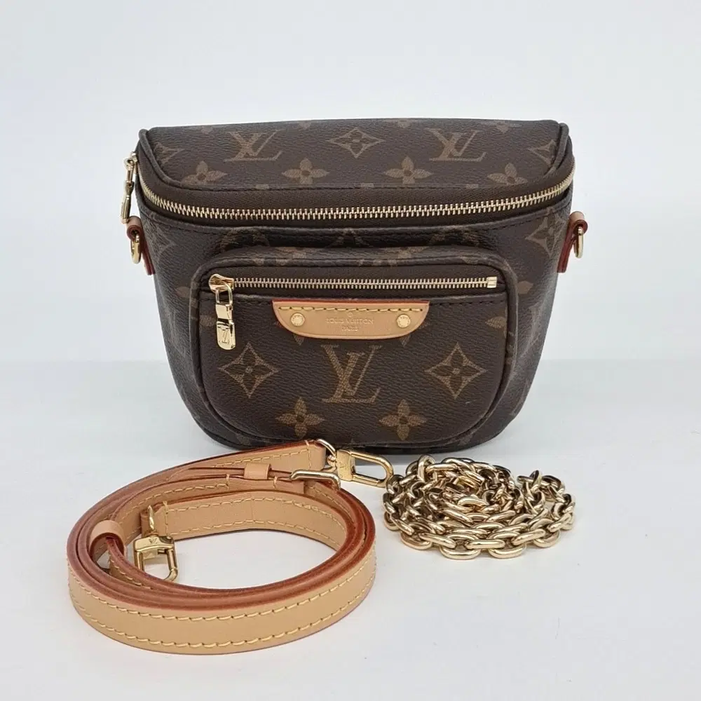 Louis Vuitton Monogram Mini Bum Bag M82335