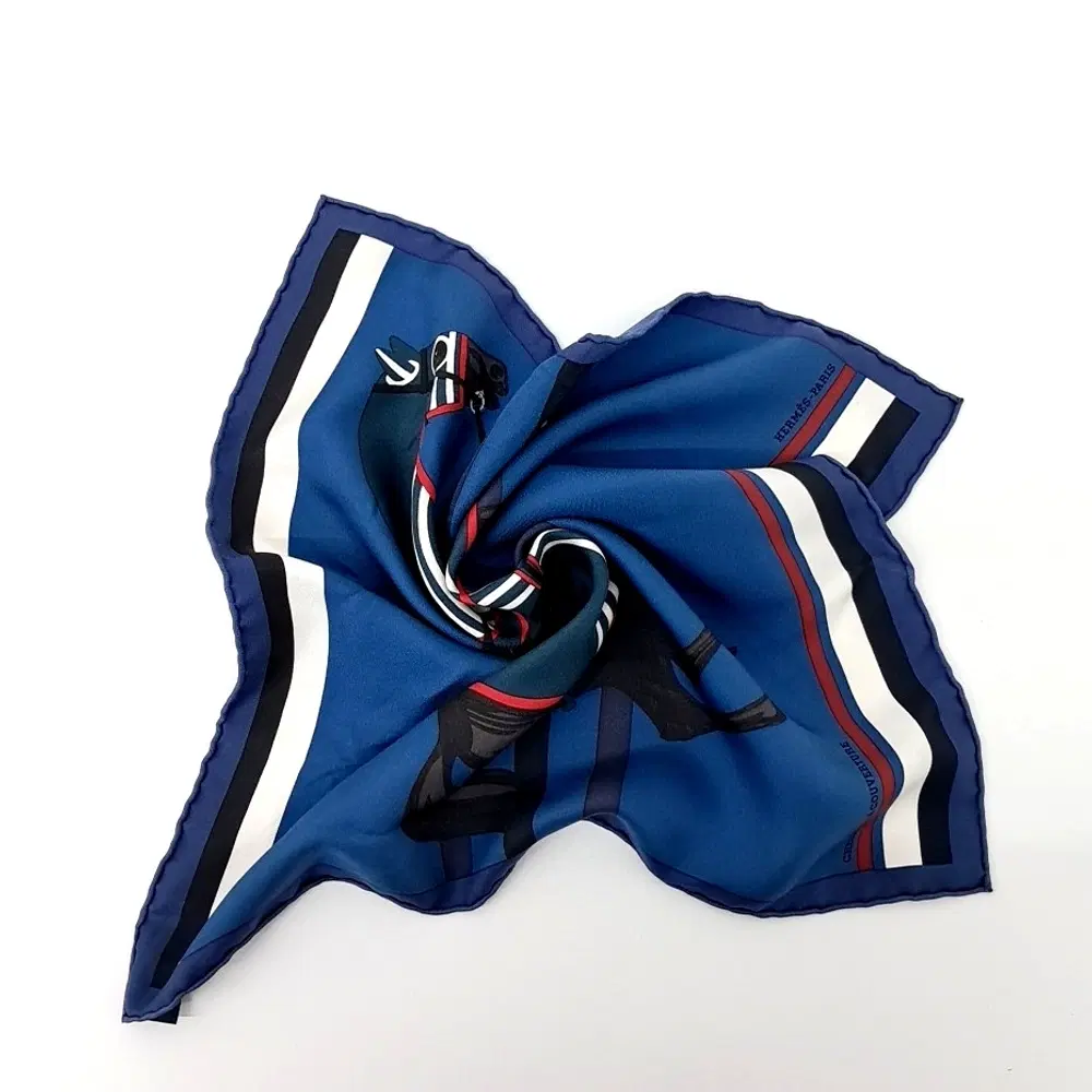 Hermes petite scarf
