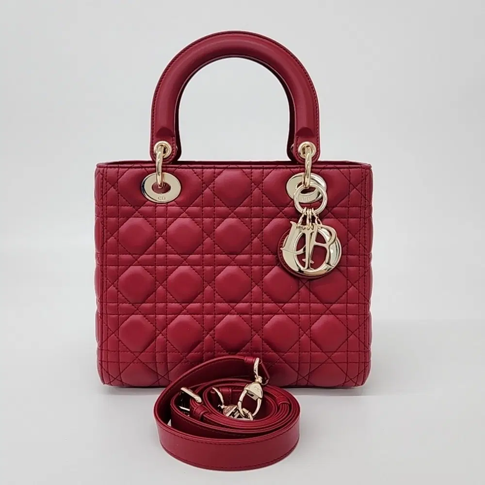 Christian Dior Lady Bag Medium M0565
