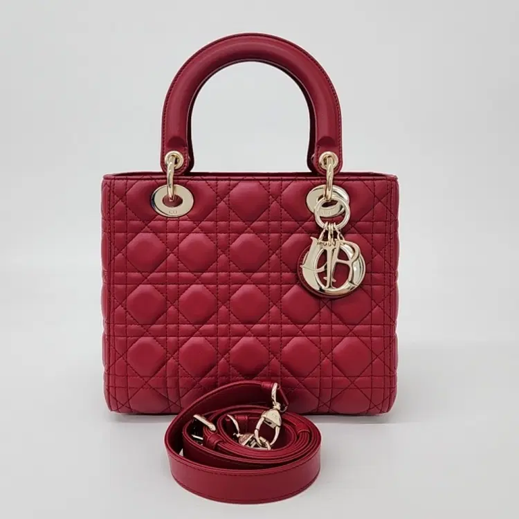 Christian Dior Lady Bag Medium M0565-Hover-Image