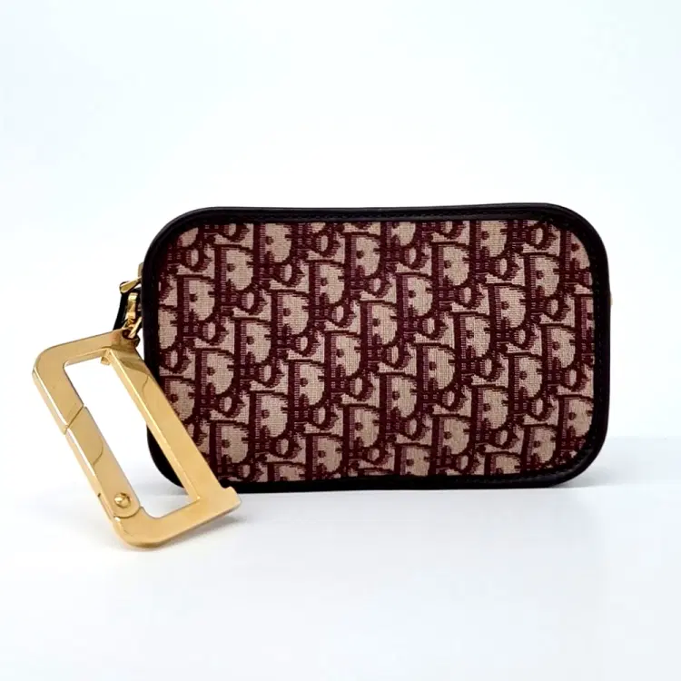 Christian Dior Oblique Quake Clutch-Hover-Image