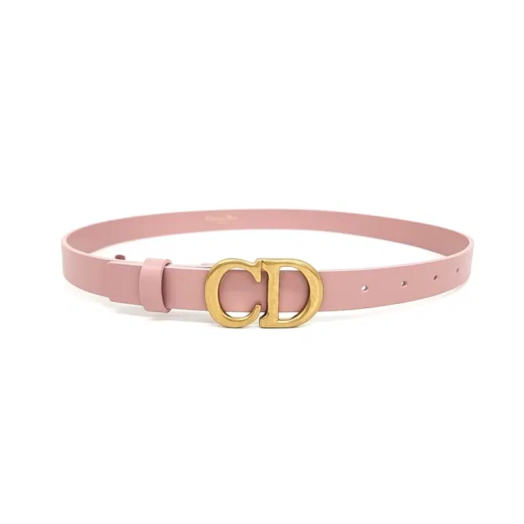 Christian Dior Saddle Belt B0042-Hover-Image