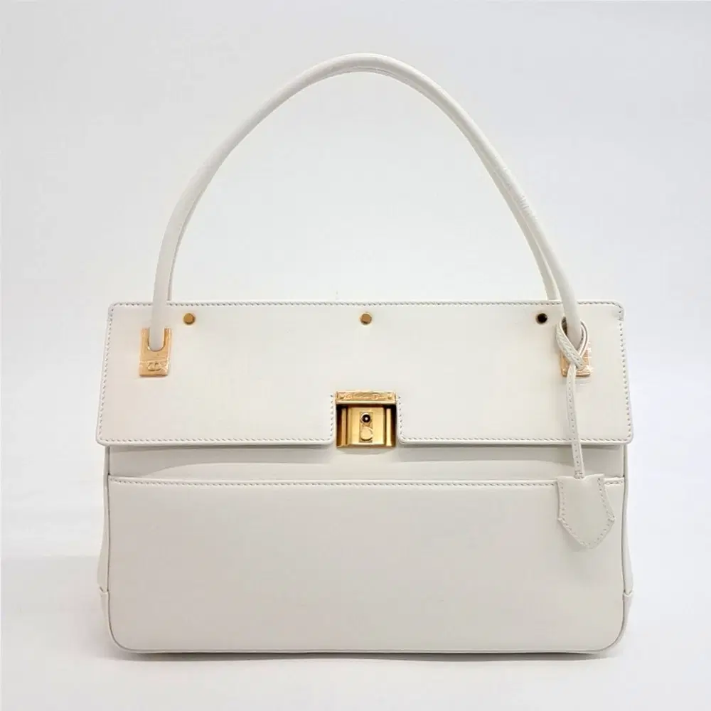 Christian Dior Parisienne Shoulder Bag M5400UBBU