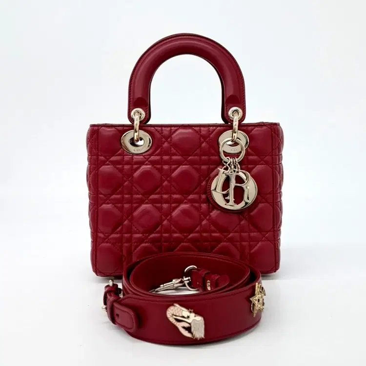 Christian Dior Cannage Lady Bag Small M0532-Hover-Image