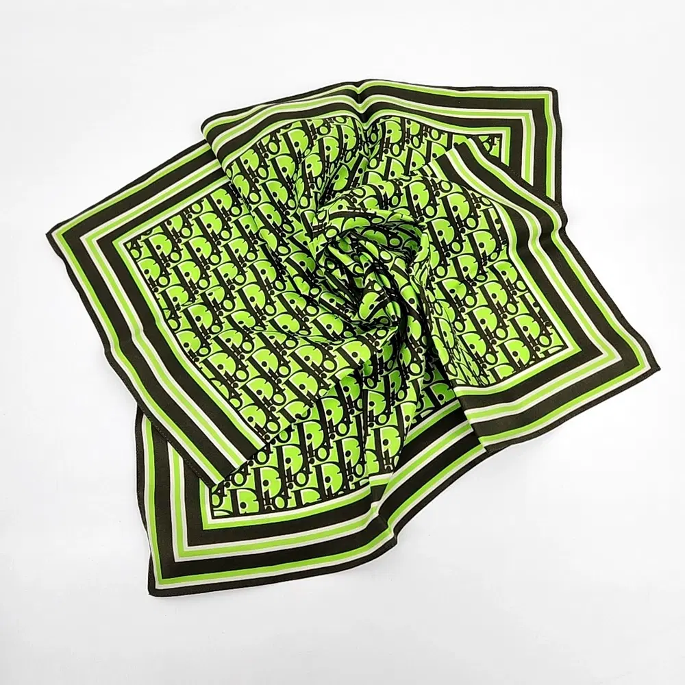Dior Homme silk scarf + scarf ring