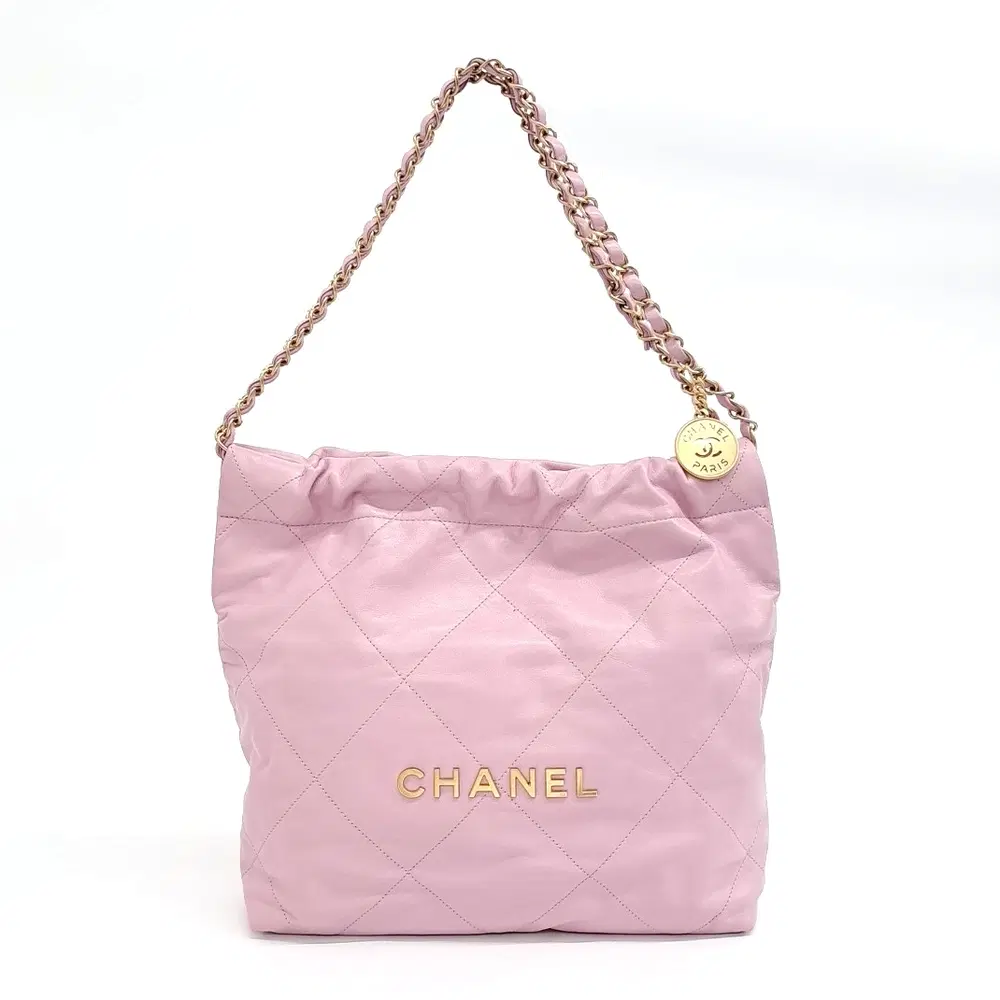 Chanel 22 Bag 30