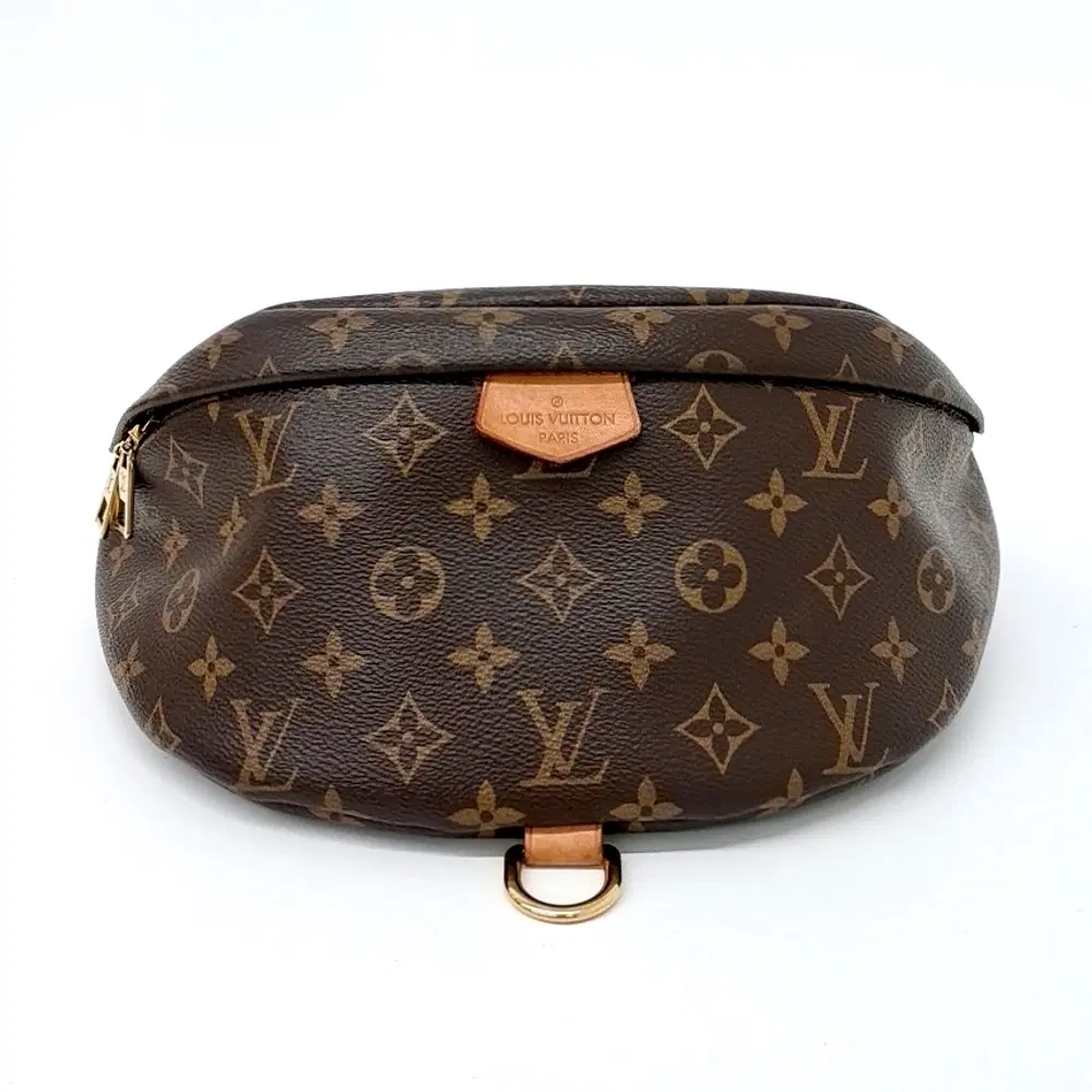 Louis Vuitton Monogram Bumbag