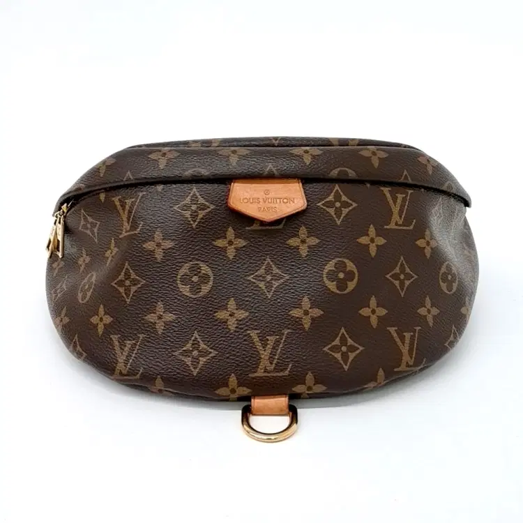 Louis Vuitton Monogram Bumbag-Hover-Image