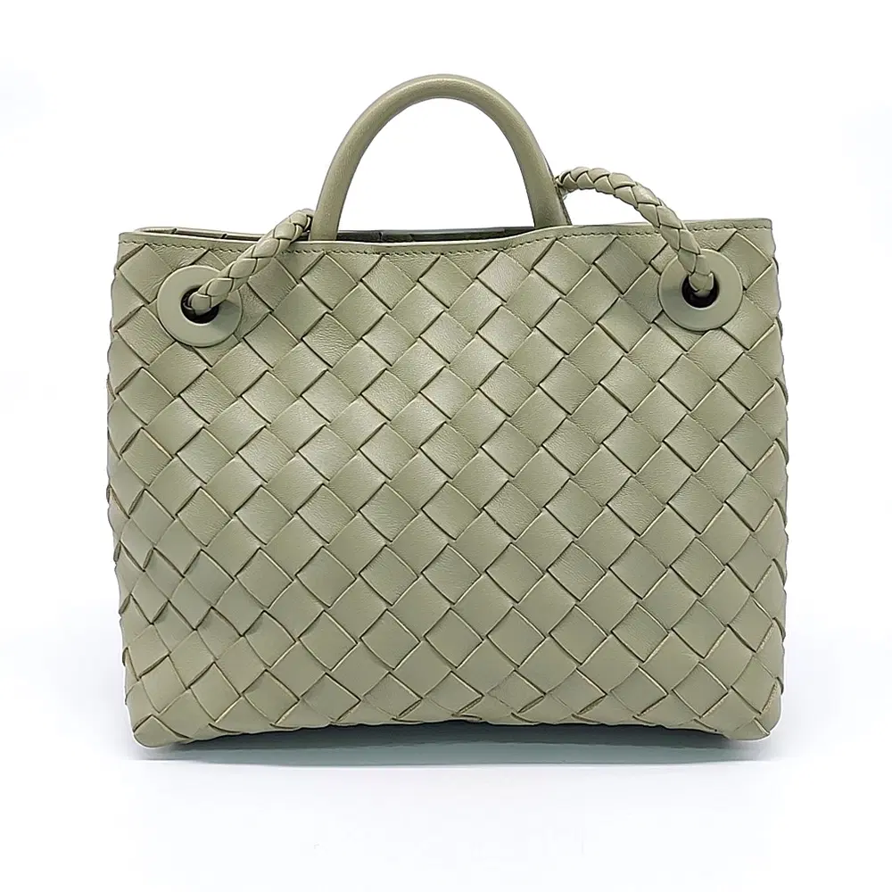Bottega Veneta Andiamo Small