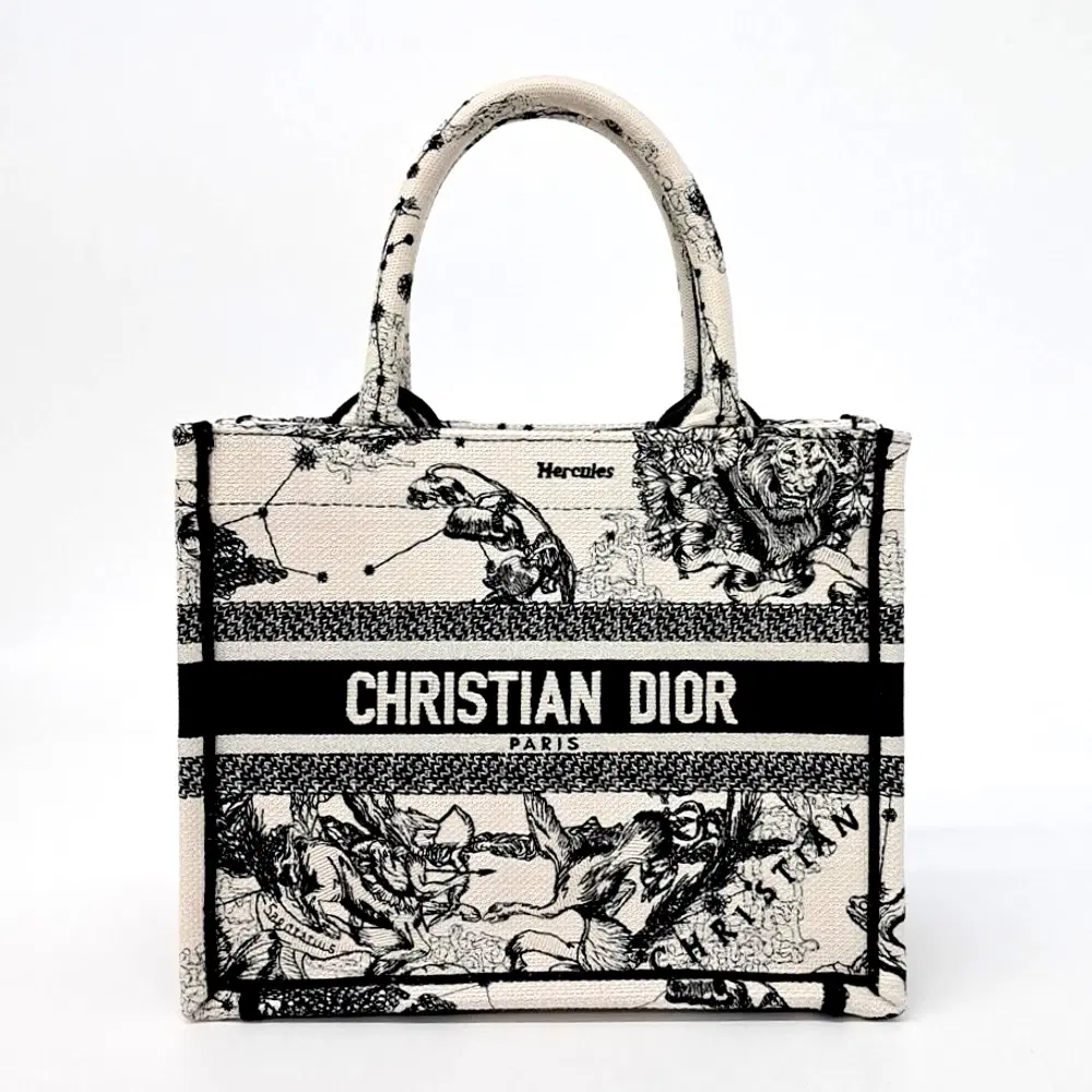 Christian Dior Book Tote Bag 26