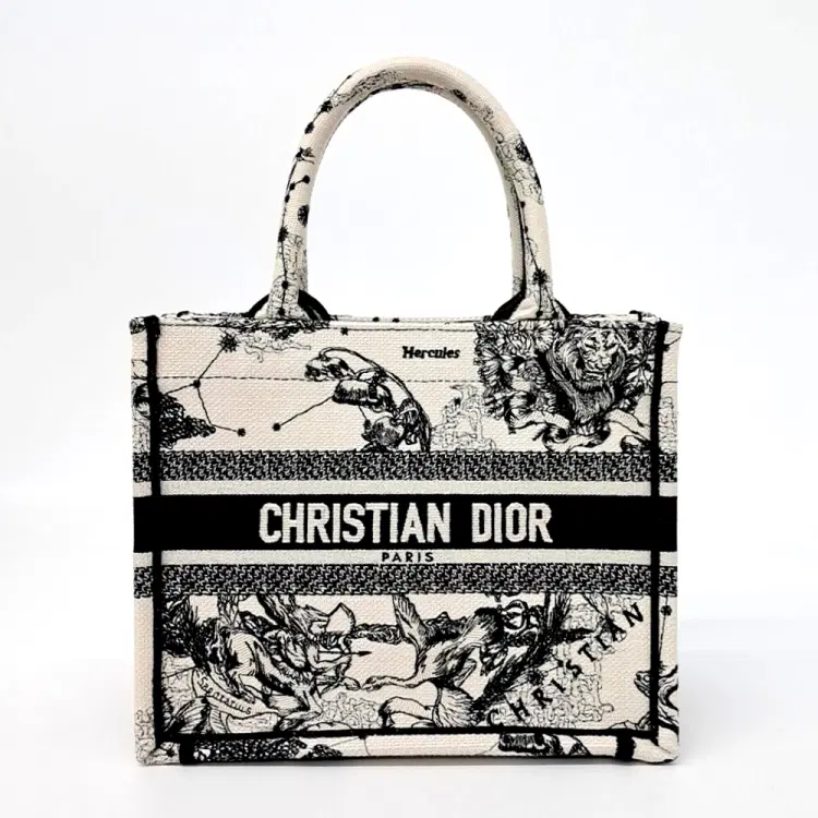 Christian Dior Book Tote Bag 26-Hover-Image