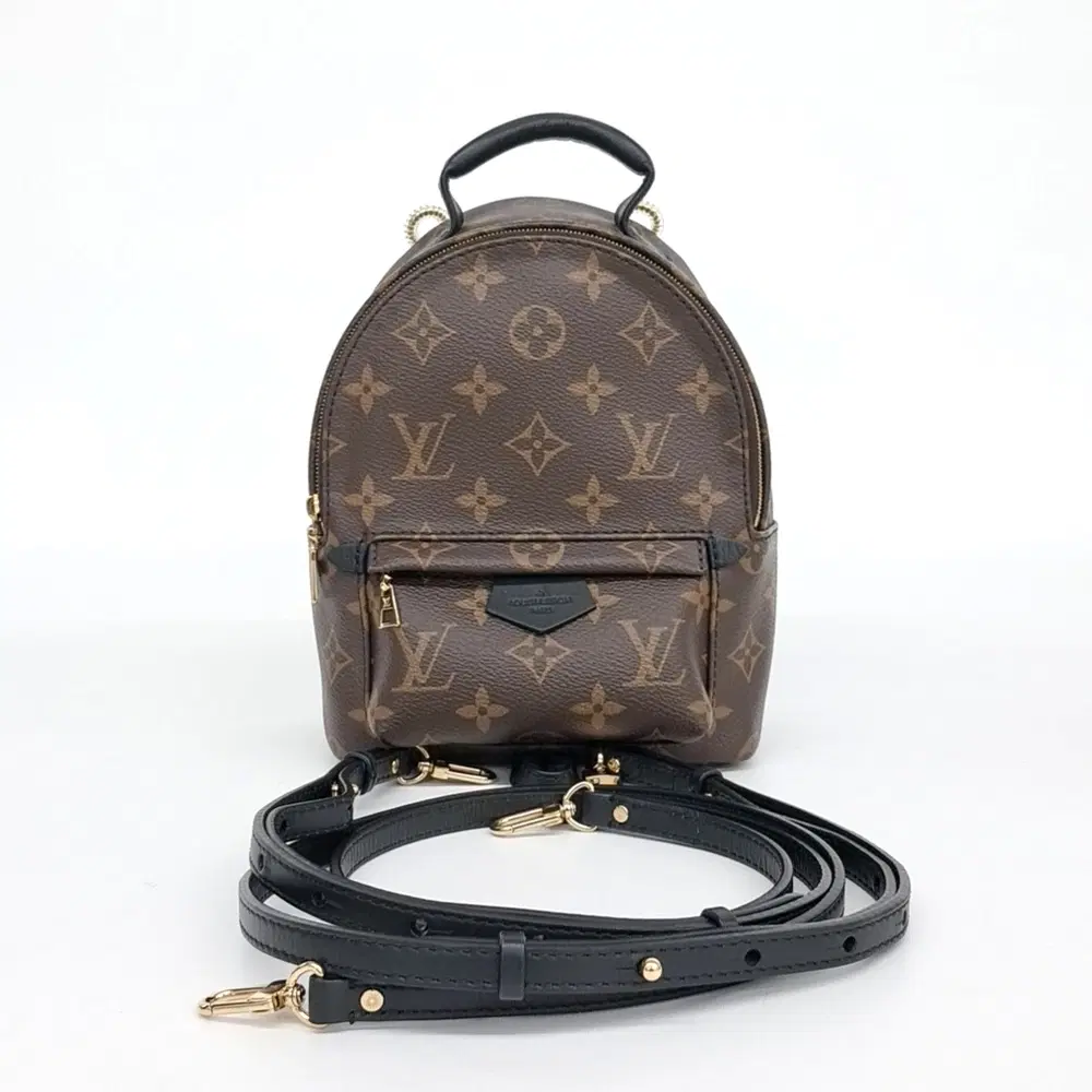 Louis Vuitton Monogram Palm Springs Backpack Mini M44873