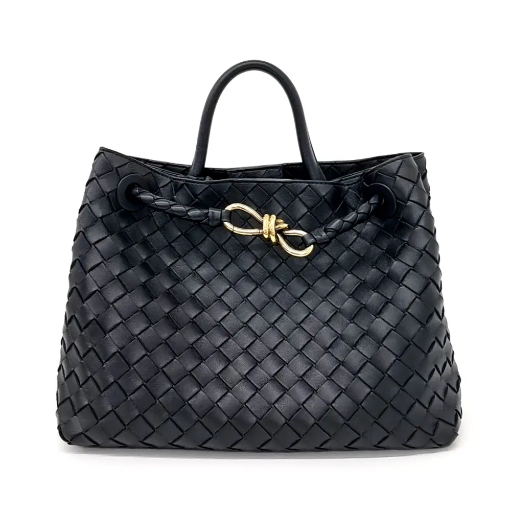 Bottega Veneta Andiamo Medium