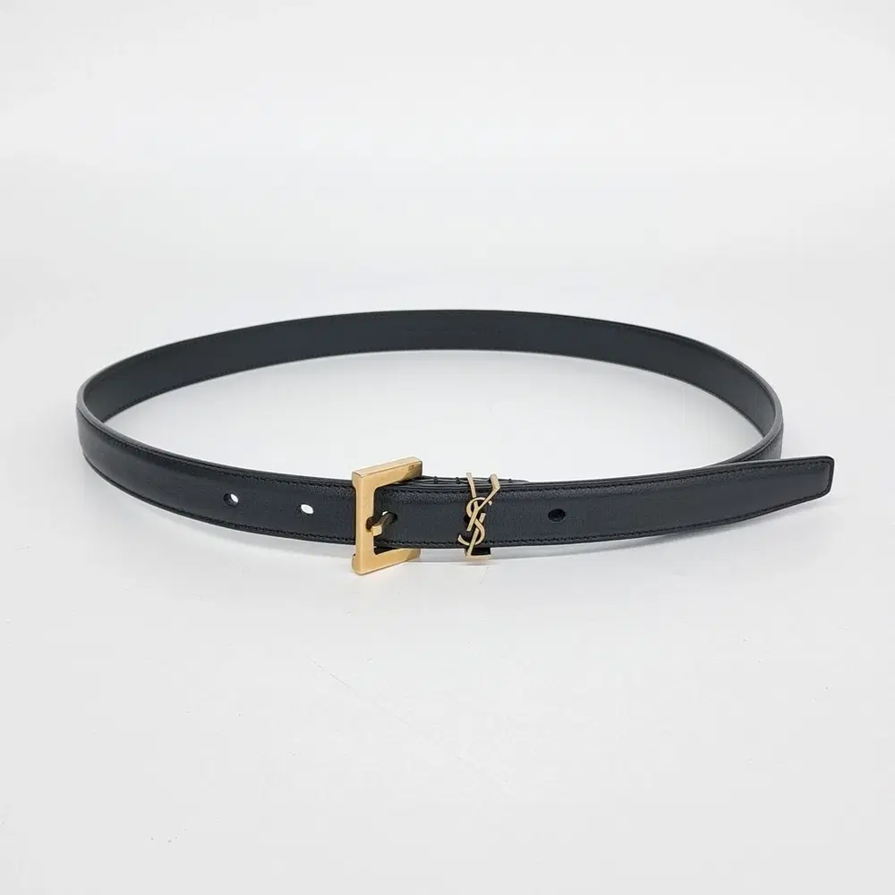 Saint Laurent Belt