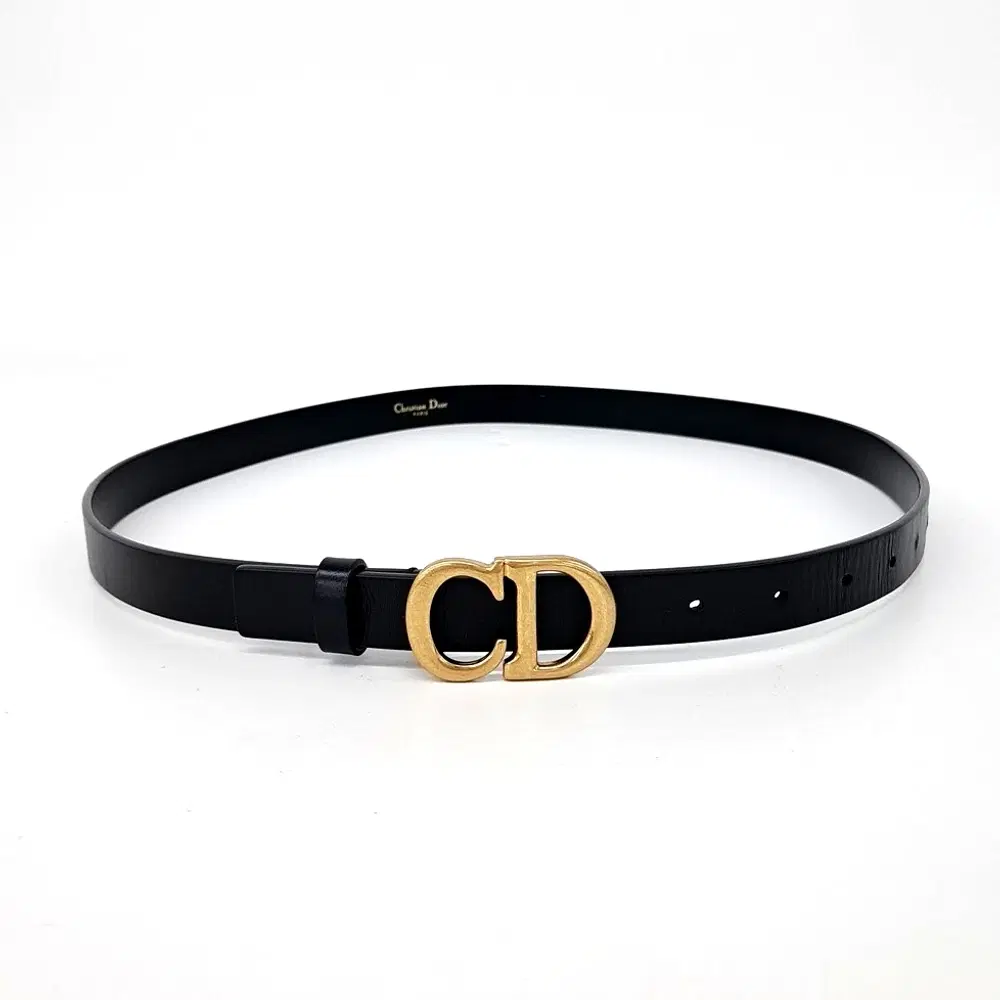 Christian Dior Saddle Belt